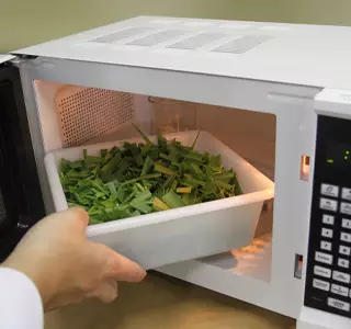 como-realizar-a-avaliacao-de-materia-seca-utilizando-o-forno-micro-ondas-e-air-fryer