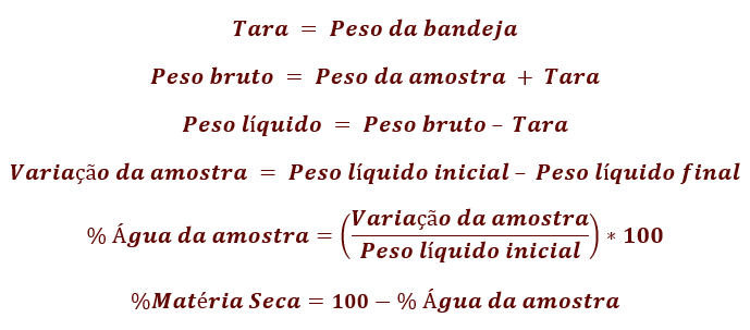 como-realizar-a-avaliacao-de-materia-seca-utilizando-o-forno-micro-ondas-e-air-fryer
