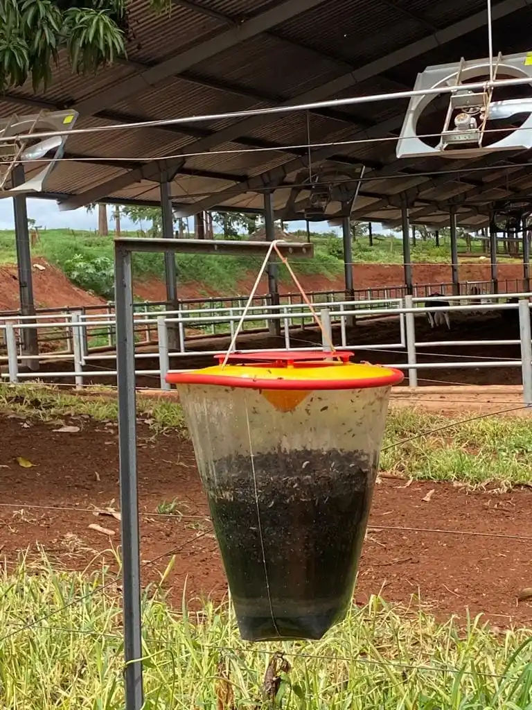 quais-os-desafios-na-prevencao-e-combate-a-parasitas-na-pecuaria